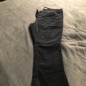 Women's plus size pants